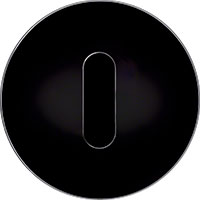 Berker R.Classic, Рамка: черный. Вставка: черный. стекло