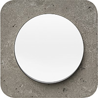 Berker R.1, Рамка: серый. Вставка: полярная белизна. Бетон шлифованный