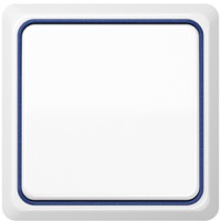 JUNG, CD plus, Цвет: Белый / Синий металлик