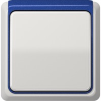 JUNG, CD plus, Цвет: Светло-серый / Синий металлик