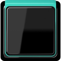 JUNG, CD plus, Цвет: Черный / Салатовый