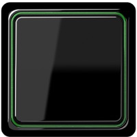 JUNG, CD plus, Цвет: Черный / Зеленый металлик