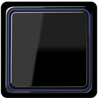 JUNG, CD plus, Цвет: Черный / Синий металлик