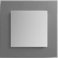 Werkel Senso, цвет: Серебряный матовый