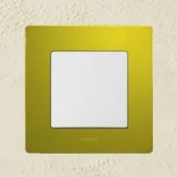 Legrand, Etika, Цвет: Зеленый папоротник