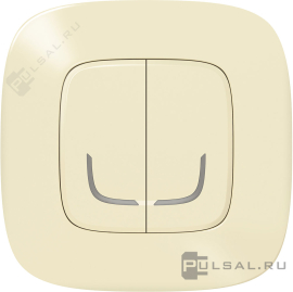 Умный беспроводной выключатель двухклавишный
Netatmo,  Valena Allure,   цвет - слоновая кость,  пластмасса,  752687,  7 526 87,  Legrand
 - PULSAL.RU