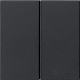 Накладка 2-х клавишная для диммера и выключателя System 3000
E2,  Event,  Esprit,  ClassiX,  ClassiX Art,   цвет - черный матовый,  пластмасса,  5362005,  5362 005,  Gira
 - PULSAL.RU