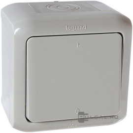 Выключатель двухполюсный
Quteo,  одноклавишный,  с возможностью подсветки,   цвет - серый,  пластмасса,  IP 44,  782339,  7 823 39,  Legrand
 - PULSAL.RU