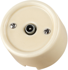 Розетка оконечная
Болонь,  телевизионная (TV),  одинарная,   цвет - слоновая кость,  фарфор / керамика,  SQ1820-0353,  TDM
 - PULSAL.RU