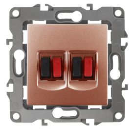 Розетка акустическая
Эра 12,  2 пары,   цвет - медь,  пластмасса,  Б0027469,  12-3112-14,  ЭРА
 - PULSAL.RU