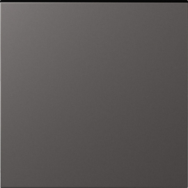 Клавиша для выключателей, переключателей и кнопок
S08,  одноклавишный,  без подсветки,   цвет - титан матовый,  пластмасса,  DS29645,  Donel
 - PULSAL.RU