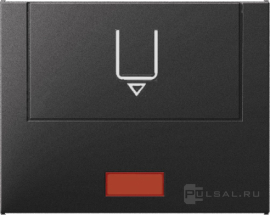 Hакладка карточного выключателя
K.1,  с индикацией,   цвет - антрацит матовый,  пластмасса,  16417106,  1641 71 06,  Berker
 - PULSAL.RU