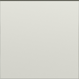 Клавиша для перекрестного переключателя
S08,  одноклавишный,  без подсветки,   цвет - шампань,  пластмасса,  DS29751,  Donel
 - PULSAL.RU