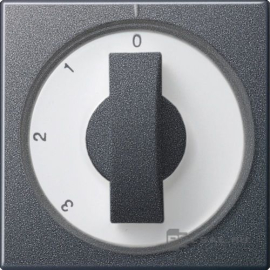 Накладка поворотного выключателя
Studio,  E2,  E3,  Event,  Esprit,  ClassiX,  ClassiX Art,   цвет - антрацит,  пластмасса,  066928,  0669 28,  Gira
 - PULSAL.RU