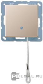 Выключатель со шнурком
A VIVA,  A creation,  A 550,  A flow,  без подсветки,   цвет - шампань,  пластмасса,  A506BFNUZCH,  A 506 BF NUZ CH,  JUNG
 - PULSAL.RU